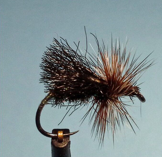 Fed's Poly Yarn Caddis with black poly yarn for poor light.