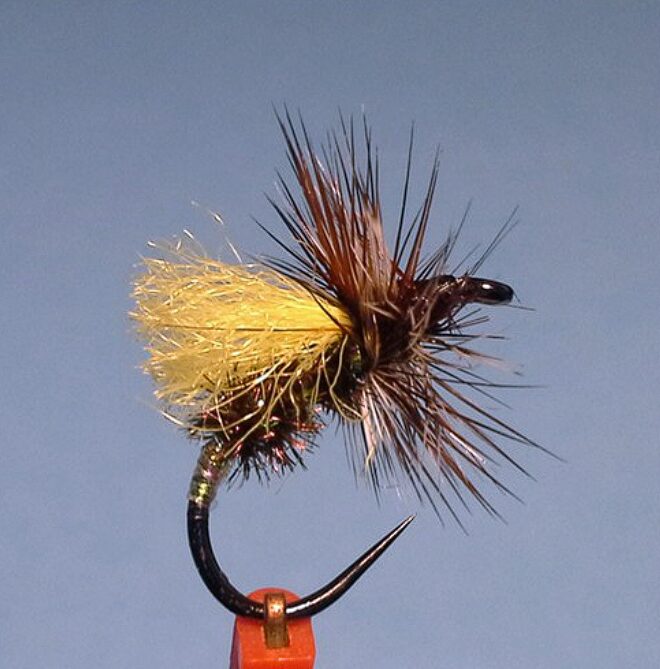 Fed's Poly Yarn Caddis - yellow/white for daytime