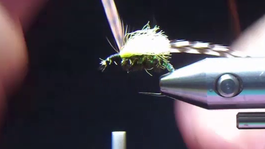 Tie in the Poly Yarn wing, attach the hackle feathers.