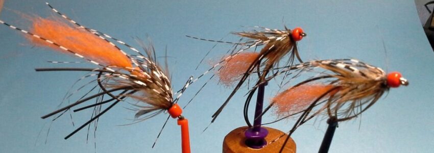 The Mutant: A Fly That Breaks the Rules
