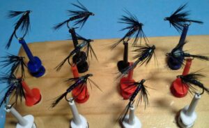 Fed's Cruncher Variants