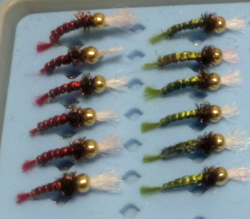 Fed’s Red Back and Green Back Pheasant Variants