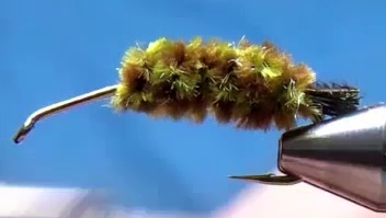 Thick peacock olive chenille wrapped forward over the underbody, creating a segmented, fuzzy abdomen.