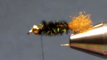 Peacock herl wrapped back and forward, forming the body.