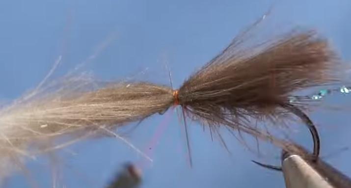 Fly with dubbed CDC body and CDC feathers tied in as wings, extending over the hook shank.