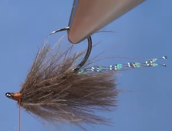Fly showing CDC barbs folded over to form a soft, natural wing hackle around the tied-in CDC feathers.
