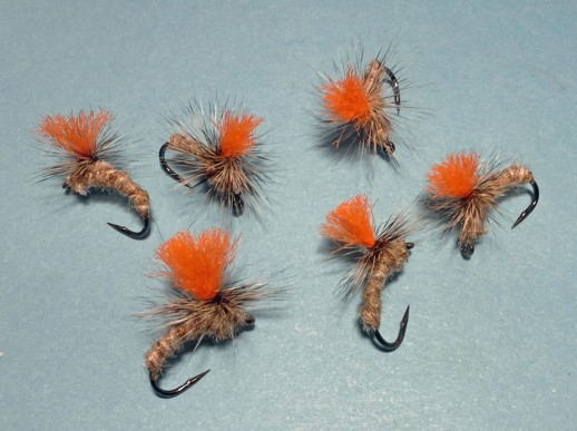 Fed's Poly Yarn Parachute Caddis