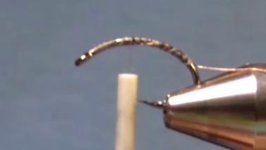 Hook covered with thread and ribbing wire tied in.