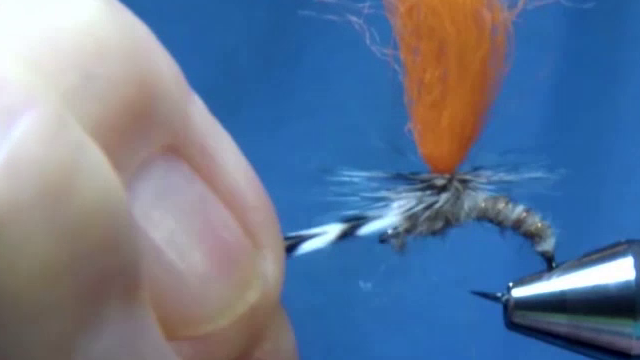 Hackle tied and wrapped around parachute post.