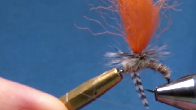 Parachute hackle secured with poly yarn thorax, finished and ready for ginking.