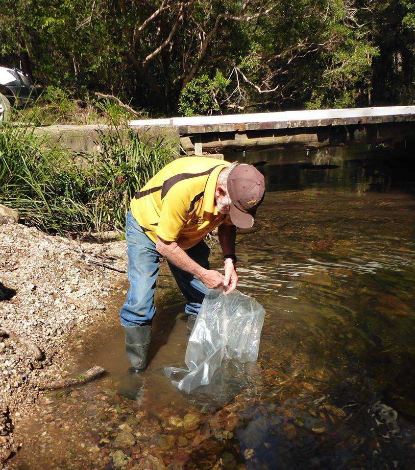 Don prepares to release the first lot of trout fry