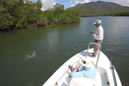 Allan Rogers with a hook up at Hinchinbrook