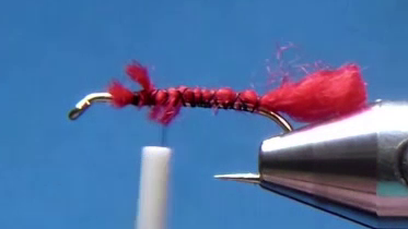 Hook secured in the vise with black thread base and a short red wool tail tied at the bend.