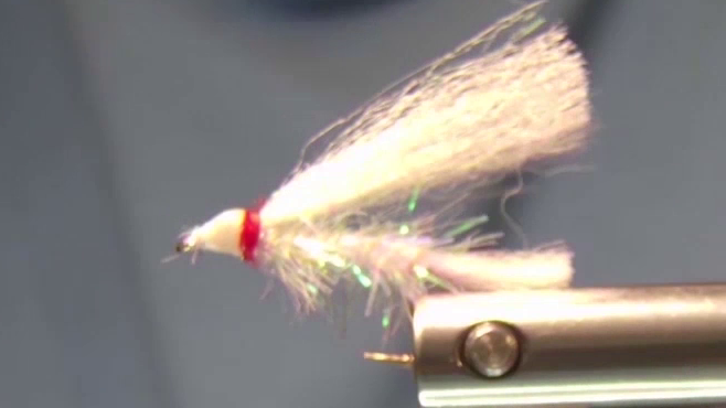 Completed fly shown at the stage before adding eyes and resin, each with tail, wing, chenille body, and red thread wraps.