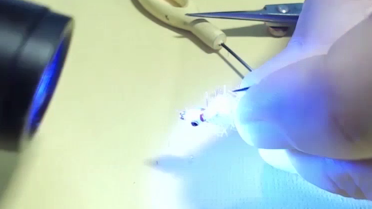 Curing the resin to harden and finish the head.