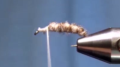Fly after forming the body, showing the pale brown poly yarn wrapped forward and ribbed with evenly counter-wrapped gold wire.