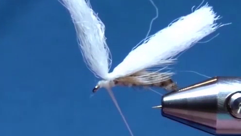 Fly after steps 7 and 8, showing the hen feather underwing and poly yarn wing tied in on top of the hook; wing material remains untrimmed at this stage.