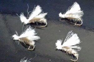 Fed's Spruce Moth Variant