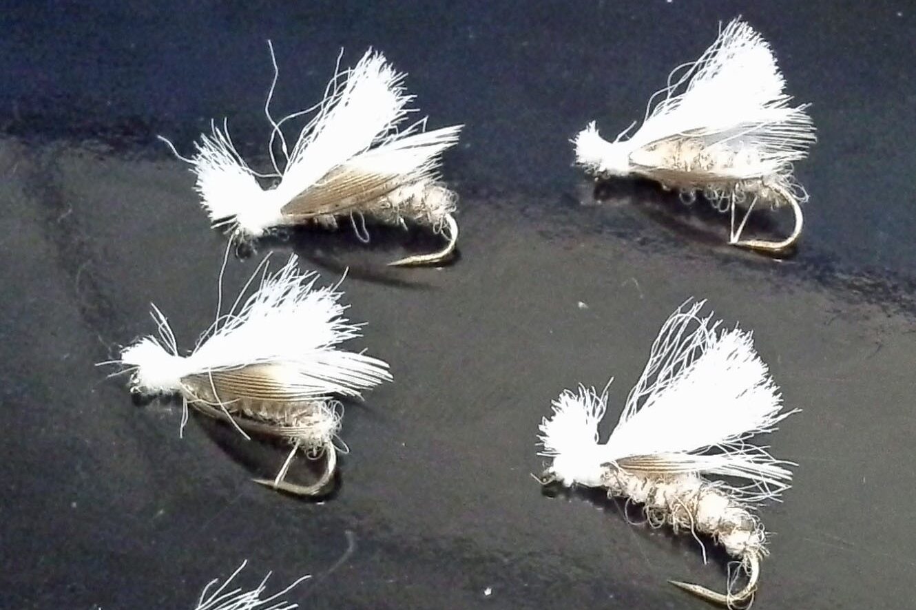 Fed's Spruce Moth Variant