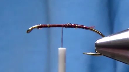 The hook is secured in the vise with a light coat of Sally Hansen’s applied. A smooth thread base covers the shank from eye to bend.