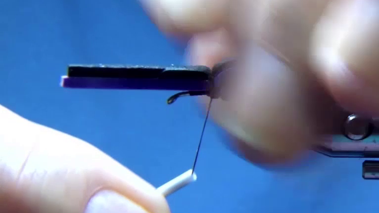 Sparkle flash (or flash material) is wrapped forward to create the underbody, and the foam is folded over and tied down neatly at mid-shank.