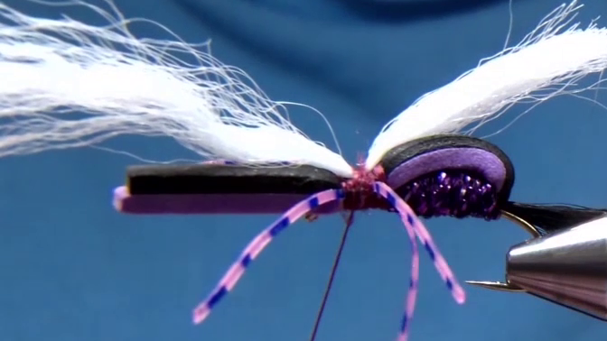 Poly-yarn wing material is tied on top of the thorax, and a grizzly hackle feather is secured in front of it, ready for wrapping.