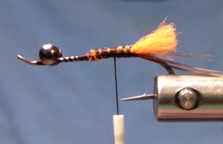 Fly after initial setup: dumbbell eyes secured, pheasant tail fibres tied along each side of the hook, and orange poly yarn antennae extending forward.
