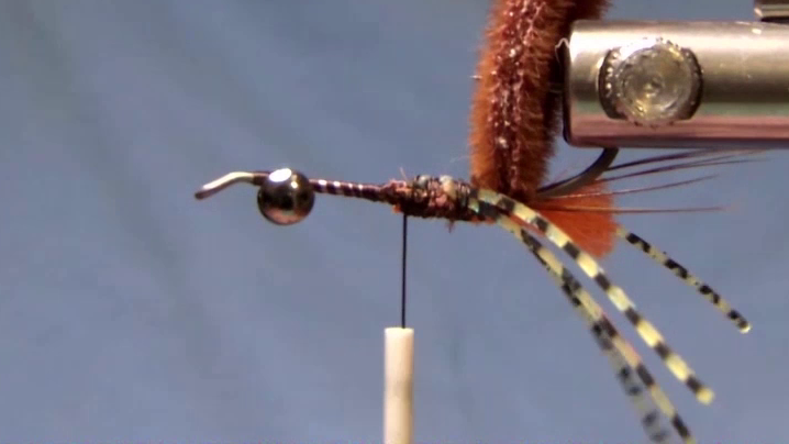 Fly after rubber legs are tied in at the hook point on both sides and trimmed to length.