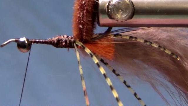 Fly after the kangaroo zonker strip is tied in at the hook point, with hair oriented toward the rear of the hook.