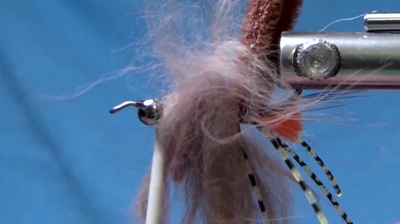 Fly after the kangaroo zonker has been wrapped forward to the dumbbell eyes and tied off.