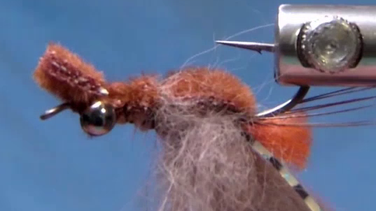 Fly after the thread has been advanced forward, forming two small segmented body sections beneath the foam.