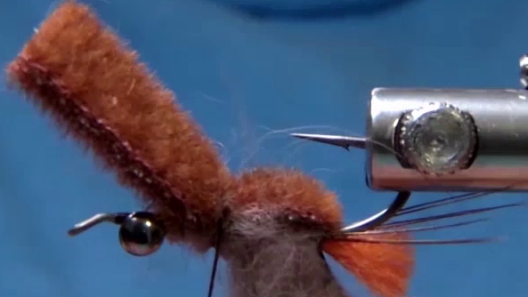 Fly after the kangaroo hair has been pushed to the sides and the foam folded forward and secured over the body.