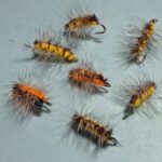 Crackle Back Caterpillar Variant