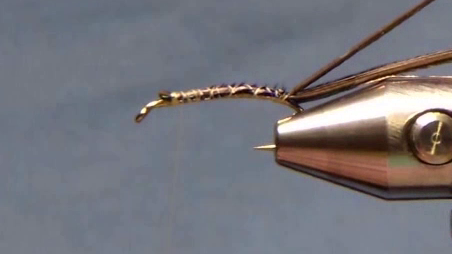 Ribbing wire and four strands of peacock herl tied in at the eye, both materials lying along the hook shank with the thread returned to the eye.