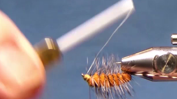 Hackle palmered back toward the bend and secured with the ribbing wire, which is then wrapped forward to the eye and tied off.