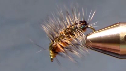 Fly finished with half hitches at the eye, excess wire and hackle trimmed cleanly.