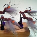 Fed's Begley Crayfish