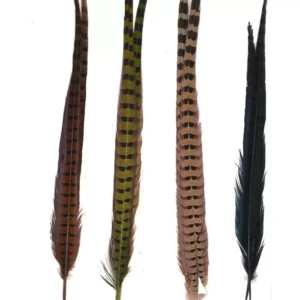 Hareline Ringneck Pheasant Tail Feathers