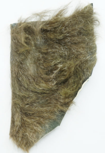kangaroo fur