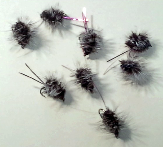 Shota's Paraloop Griffith's Gnat variants