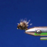 Shota's Paraloop Griffith's Gnat Variant