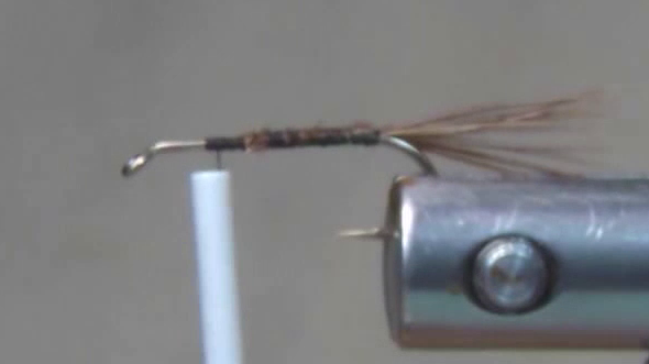 Hook secured in vise with a smooth, even layer of black tying thread laid from eye to bend, forming a clean foundation for the Brassie Emerger Variant.