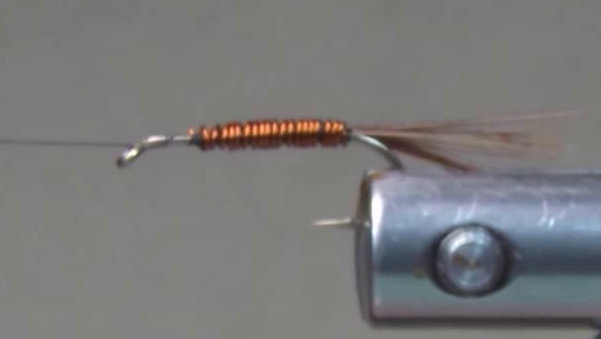 Pheasant tail fibre tail tied in at the bend of the hook with copper wire secured at the same tie-in point, ready for body construction.