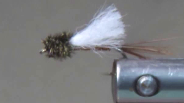 Completed Brassie Emerger Variant fly with peacock herl thorax wrapped densely at the front, finished with a secure whip finish and clean head cemented for durability.
