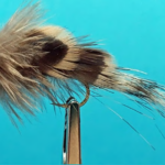 Fed's Wonga Pidgeon Minnow