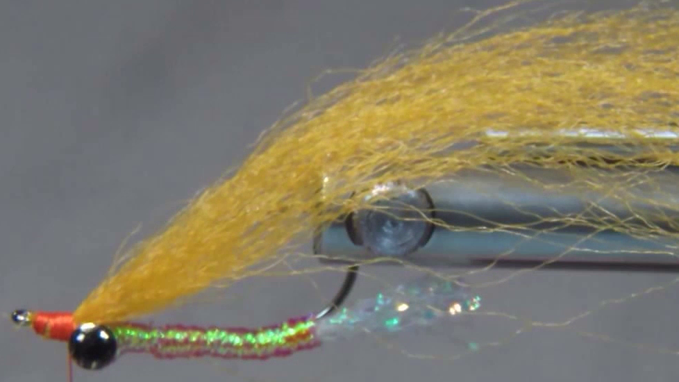 Completed braided shrimp body coated with cured UV resin, with the hook rotated ready for wing installation.