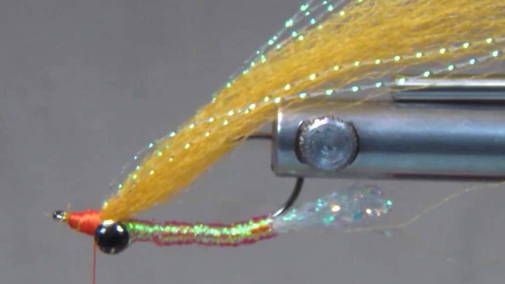 Fly Tyer's Dungeon Congo Plus wing and doubled Crystal Flash tied beneath the hook to form the shrimp profile.