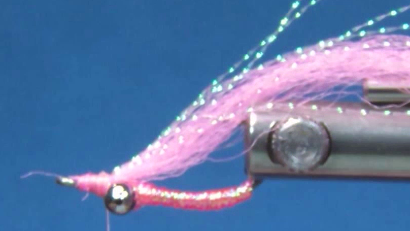 Hook inverted in the vice with a sparse hot pink FTD Congo Plus wing tied in immediately in front of the bead chain eyes.