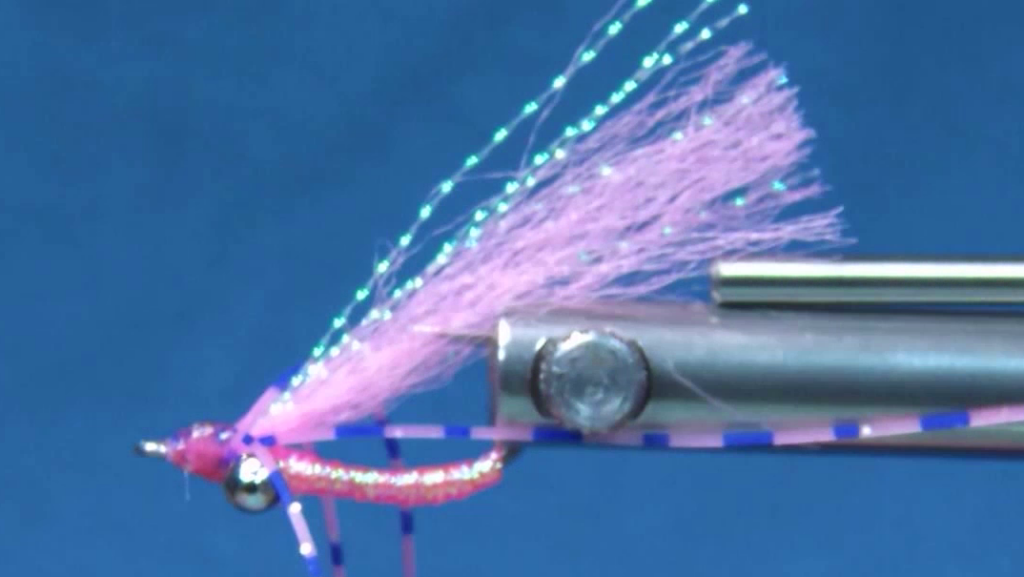 Completed fly with the hot pink Congo Plus wing and Crystal Flash trimmed to length, while the rubber legs remain untrimmed.