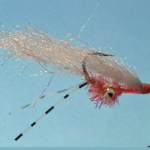 Fed's Bonefish Squimp Variant